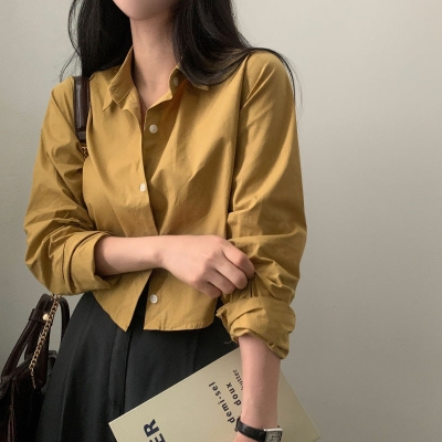 Solid Color Long Sleeve Crop Blouse