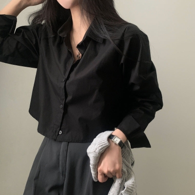 Solid Color Long Sleeve Crop Blouse
