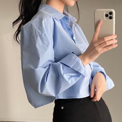 Solid Color Long Sleeve Crop Blouse